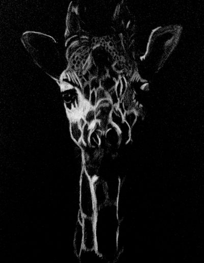 Clair-Obscur-Girafe-2